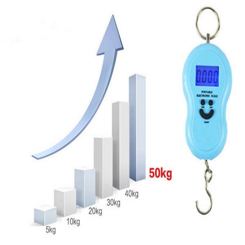 Portable Digital Hanging Scale (upto 50kg)