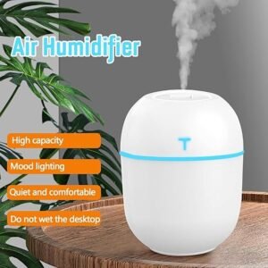 Air Humidifier Egg Shaped