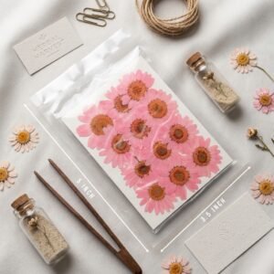 12pcs Real Natural Dried Pressed Flowers